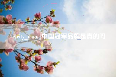 常德中国冠军品牌是真的吗
