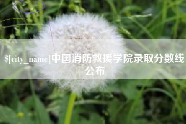 常德中国消防救援学院录取分数线公布