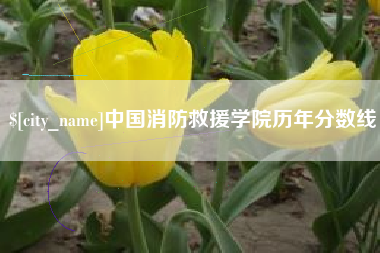 常德中国消防救援学院历年分数线