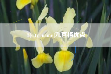 常德九宫格优点