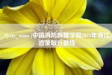 常德中国消防救援学院2021年浙江省录取分数线
