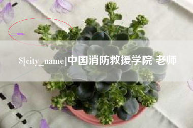 常德中国消防救援学院 老师