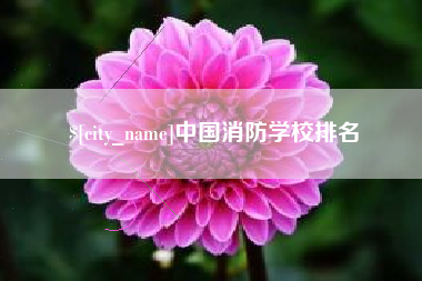 常德中国消防学校排名