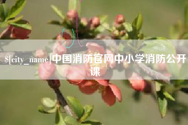常德中国消防官网中小学消防公开课
