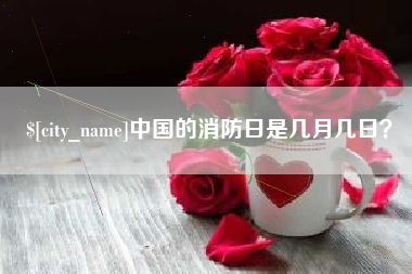 常德中国的消防日是几月几日？