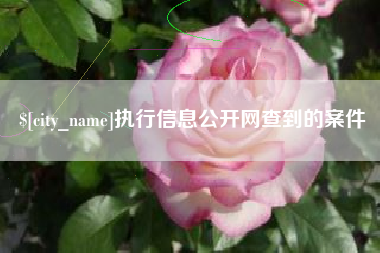 常德执行信息公开网查到的案件