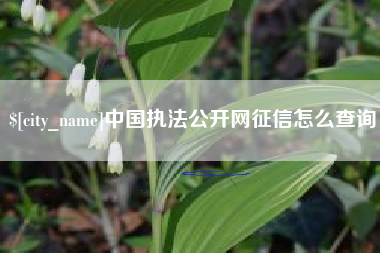 常德中国执法公开网征信怎么查询