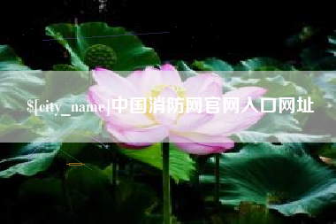常德中国消防网官网入口网址