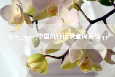 常德中国执行记录查询系统app