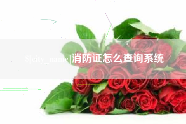常德消防证怎么查询系统
