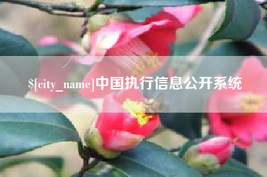 常德中国执行信息公开系统