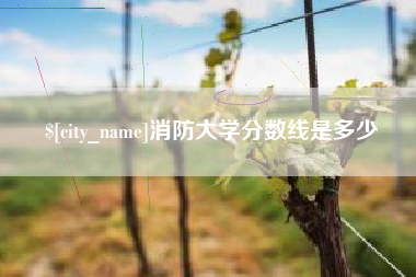 常德消防大学分数线是多少