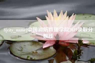 常德中国消防救援学院2019录取分数线