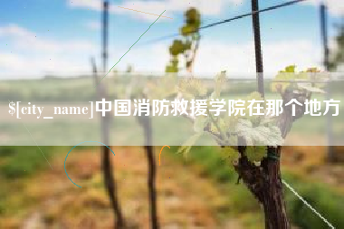 常德中国消防救援学院在那个地方