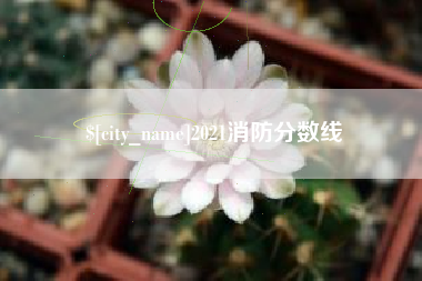 常德2021消防分数线