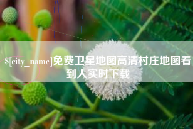 常德免费卫星地图高清村庄地图看到人实时下载