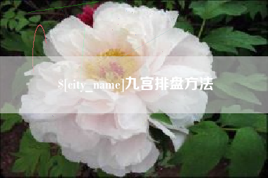 常德九宫排盘方法