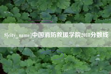 常德中国消防救援学院2018分数线