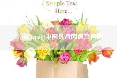 常德中国执行网信息官网