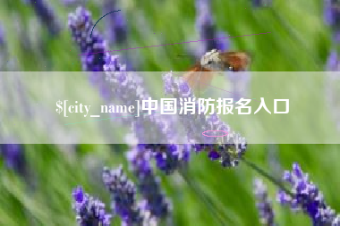 常德中国消防报名入口