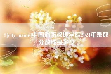 常德中国消防救援学院2024年录取分数线是多少