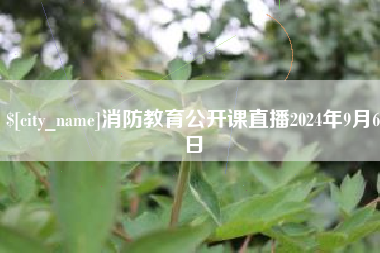 常德消防教育公开课直播2024年9月6日