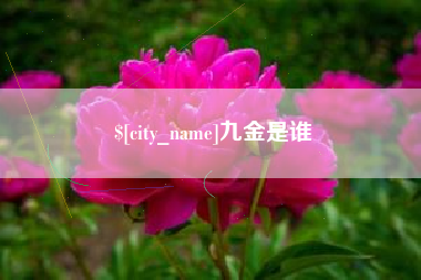 常德九金是谁