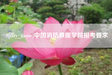 常德中国消防救援学院报考要求