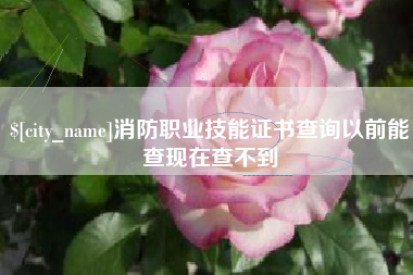 常德消防职业技能证书查询以前能查现在查不到