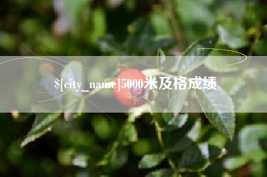 常德5000米及格成绩