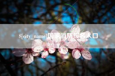 常德国家消防报名入口