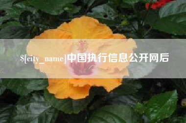 常德中国执行信息公开网后
