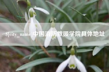常德中国消防救援学院具体地址