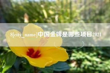 常德中国金牌是哪些项目2021
