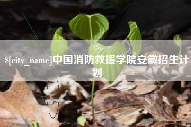 常德中国消防救援学院安徽招生计划