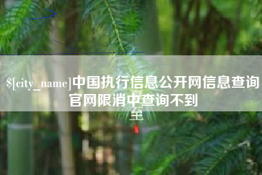 常德中国执行信息公开网信息查询官网限消中查询不到