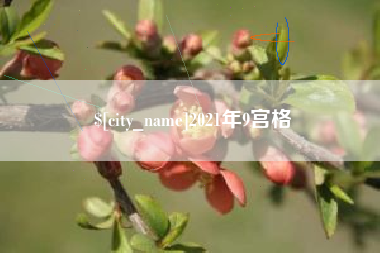 常德2021年9宫格