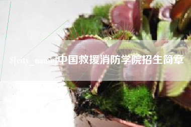 常德中国救援消防学院招生简章