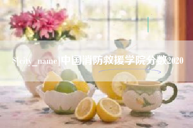 常德中国消防救援学院分数2020