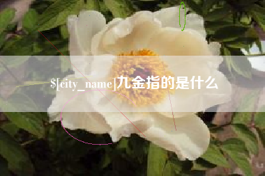 常德九金指的是什么