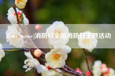 常德消防日全国消防日主题活动