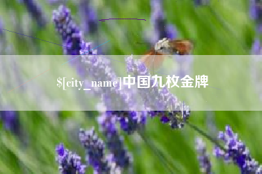 常德中国九枚金牌