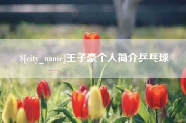 常德王子豪个人简介乒乓球