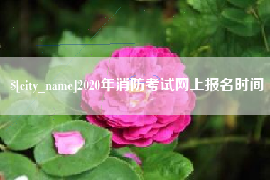 常德2020年消防考试网上报名时间