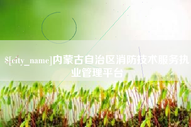 常德内蒙古自治区消防技术服务执业管理平台