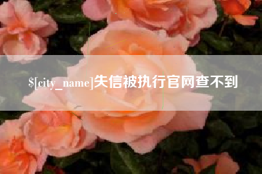 常德失信被执行官网查不到