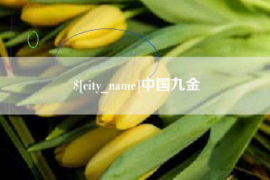 常德中国九金