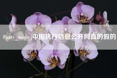 常德中国执行信息公开网真的假的