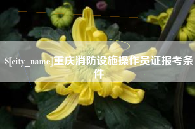 常德重庆消防设施操作员证报考条件