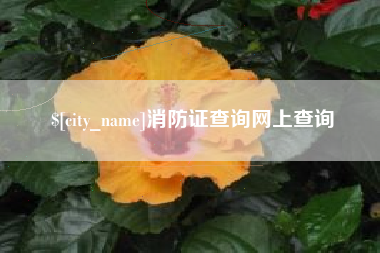 常德消防证查询网上查询
